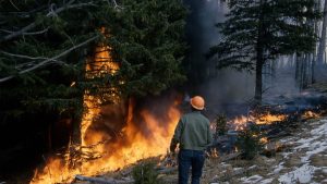 Colorado wildfire insurance