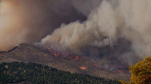 Wildfire insurance and mitigation: Removing roof debris to decrease wildfire risk and damage