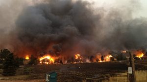 Wildfire insurance and mitigation: Removing roof debris to decrease wildfire risk and damage